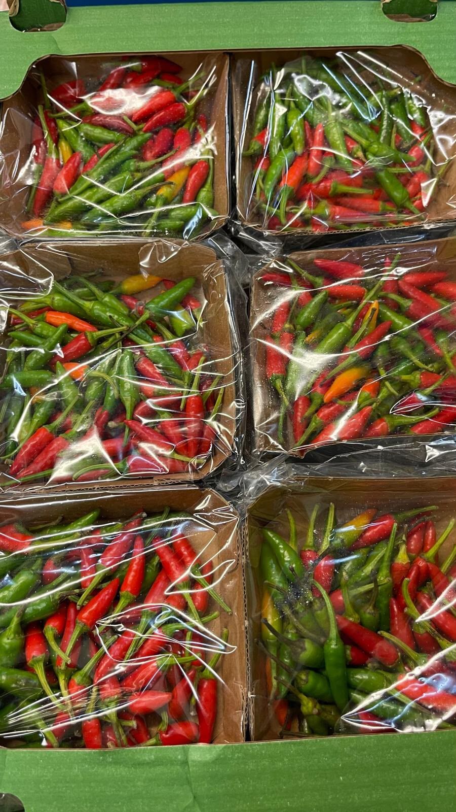 Punnets of fresh red and green bird's eye chillies