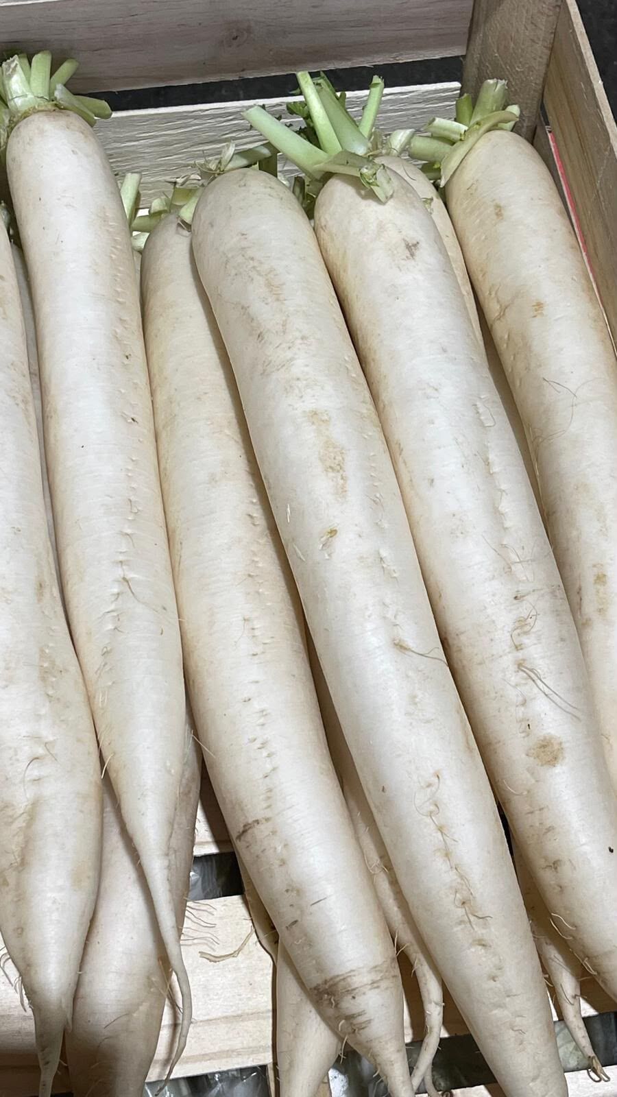 Fresh mooli (daikon white radish)