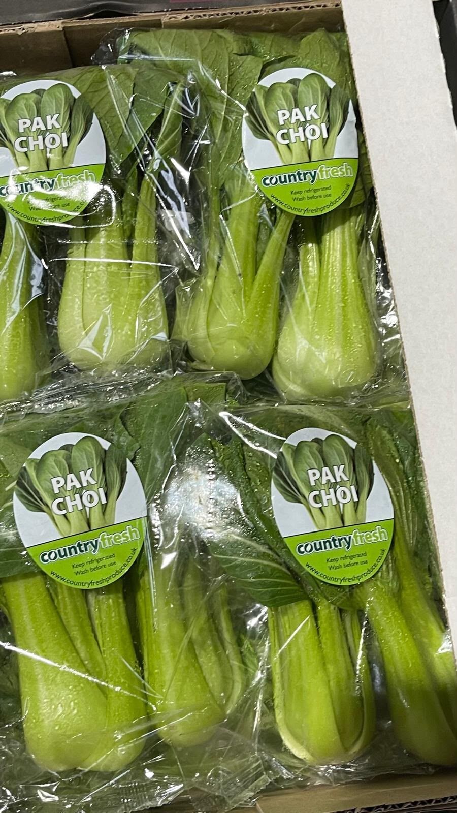 Packs of fresh pak choi (bok choy)