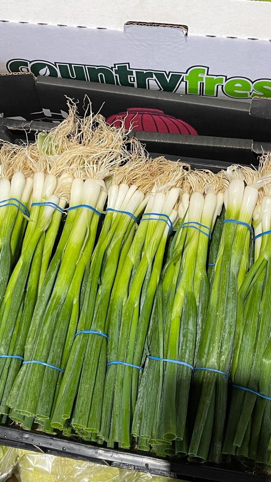 Bundles of fresh spring onions